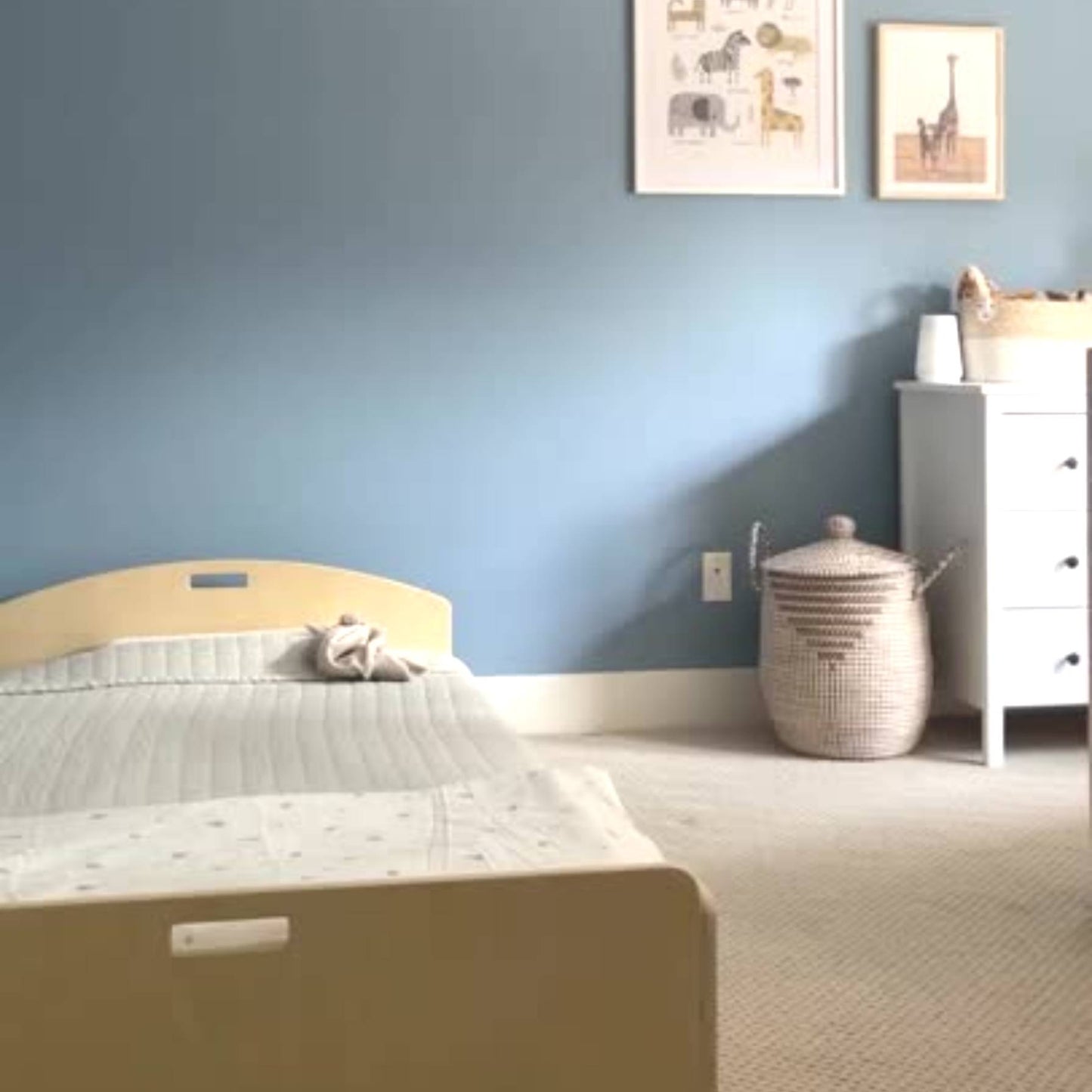 Low wooden bed with a curved headboard in a toddler’s room. The bed features soft gray bedding and a plush toy. A blue accent wall, framed animal prints, and a woven basket create a cozy, Montessori-inspired space. Safe, floor-level design for independent sleep.
