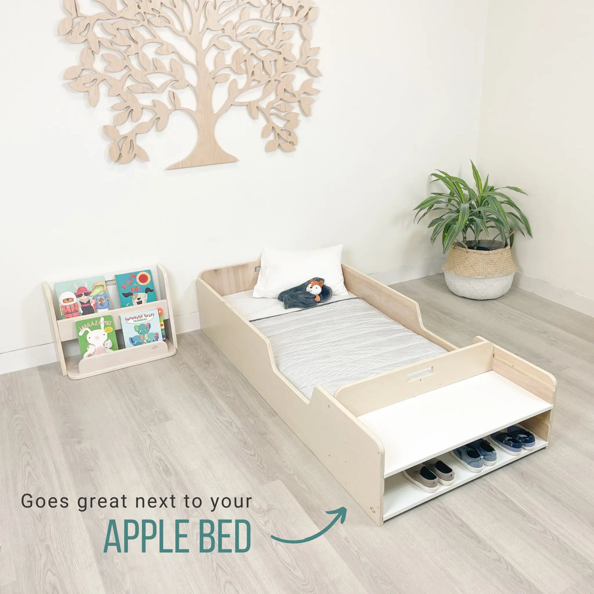 GUAVA - Montessori Bookshelf Sapiens Child