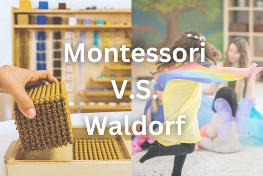 Montessori V.S. Waldorf differences