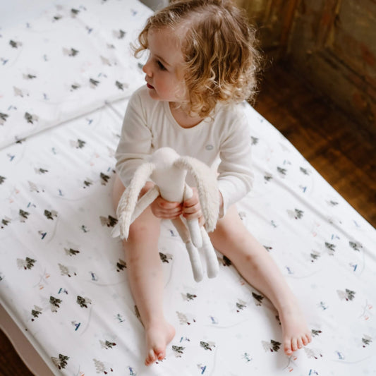 Organic Cotton Long Sleeve Footed Sleep Bag | 1.0 TOG Nest Designs